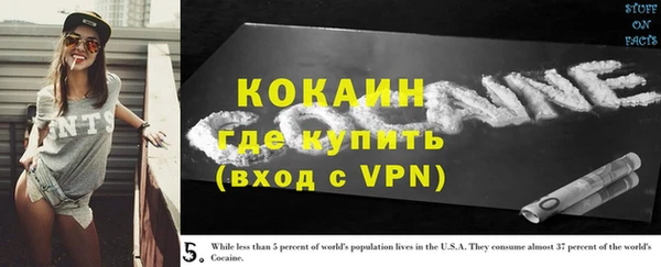 ПСИЛОЦИБИНОВЫЕ ГРИБЫ Баксан